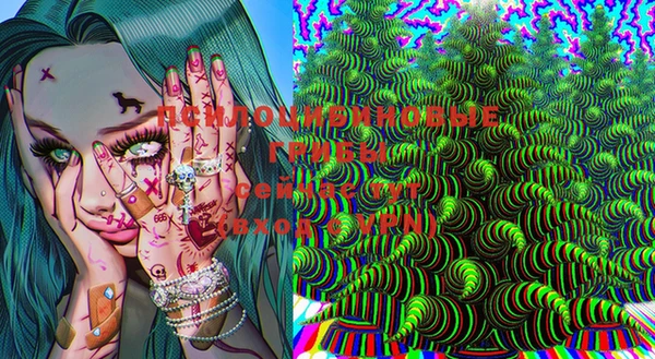дмт Арсеньев