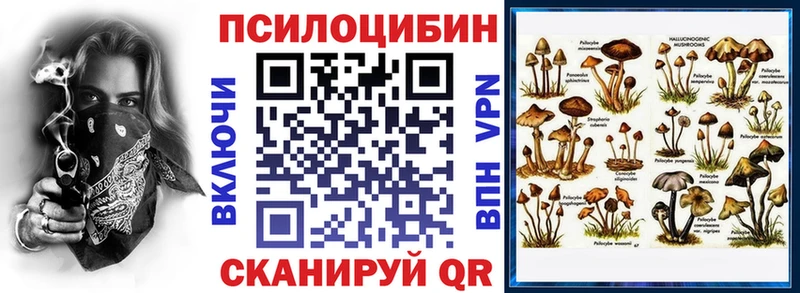 Галлюциногенные грибы Psilocybe  даркнет формула  Мценск 